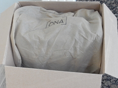 R1115823.JPG