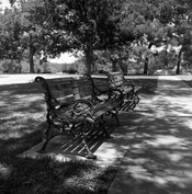 Landa Park Benches.jpg