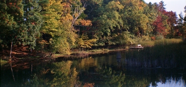img005.jpg