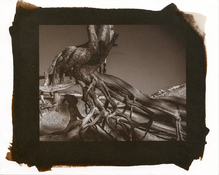 img117 (9 min).jpg