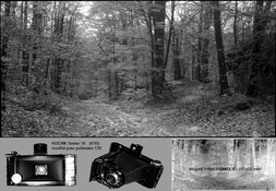 Kodak Senior Six16-100.jpg