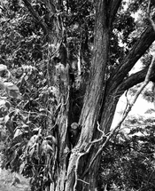 Pentax 6x7 7-23 - 8.jpg