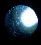 cin99-topaz-enhance-4x.jpg