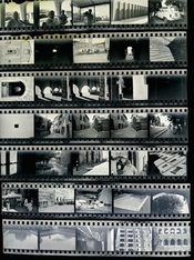 ferrania contact print.jpeg