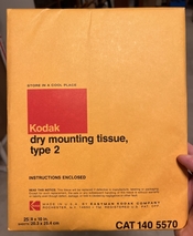 Tissue_front.jpg