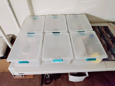 Darkroom3-Bins.jpg