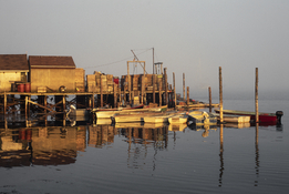 _DSC5095.jpg