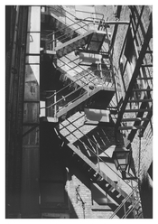 IMG_2685.jpeg