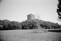 DSC00180.jpg