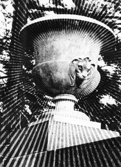 EisnerUrnSunburst.jpg