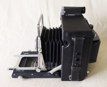 Crown Graphic - 2.jpg