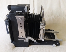 Crown Graphic - 4.jpg