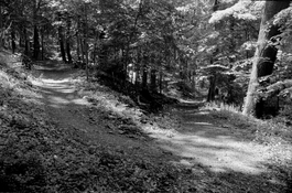 HiddenbrookeTurnNkmt28mm.jpg
