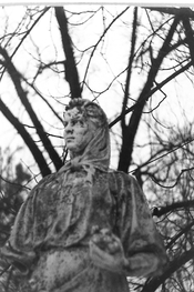 PICT0003_1.jpg