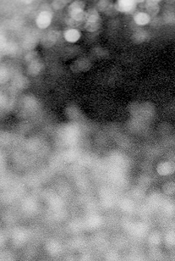 fp4 minoltaminolta.jpeg