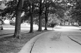 Leica M3 - 8.jpg