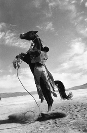 Ernst Haas Misfits Horse.jpeg