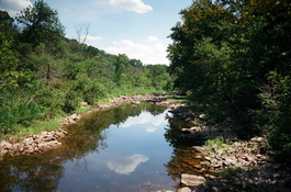 IMG_3589.jpeg