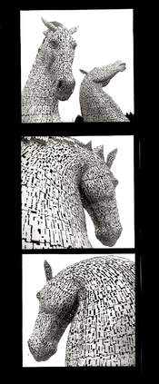 SterlingHorses.jpg