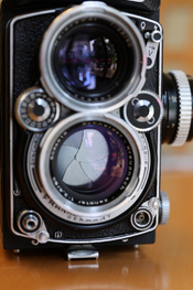 R6II9900.JPG