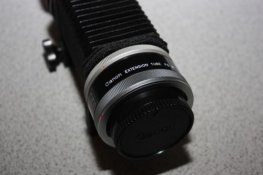 May o6 017.jpg