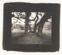 oaks pt scan.jpg