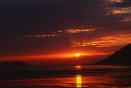 WilsonsPromSunset1997.jpg