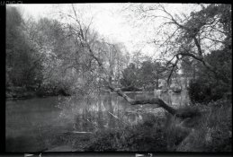 WWPHD_Agfa Clack_1.jpg