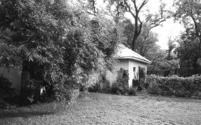 img478.jpg