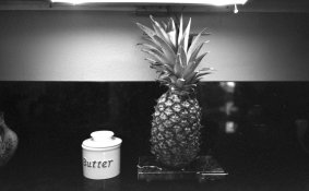 img481.jpg