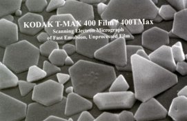 shanebrook_tmax_400.jpg