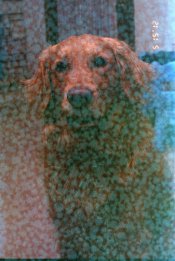 Roll12342-L.jpg