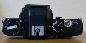 _1020076 web.jpg