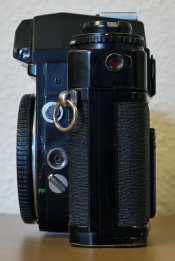 _1020074 web.jpg