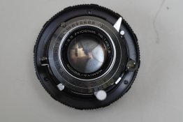 web41AE7590.JPG