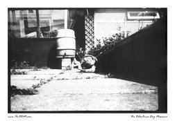pinhole_photography___ilford_multigrade___pig_by_thevdm-d5043f2.jpg