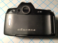 IMG_3232.jpeg