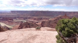 DSC02431.jpg