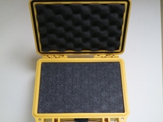 Pel.1120_Y_4.JPG