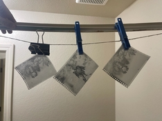 IMG_7074.jpeg