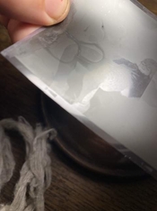 IMG_3181.jpeg