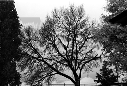 image07.jpg