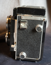 Diacord (2 of 5).jpg