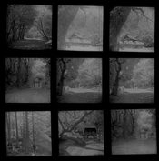 Rollei IR_ContactSheet.jpg