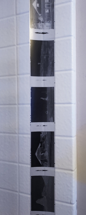 Film-from-ToyoRFH_02.jpg