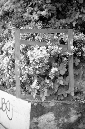 r111_13_14_14 Large.jpeg