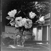 IMG_0850-03.jpeg