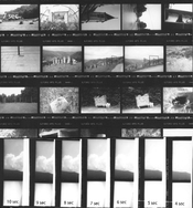 first contact sheet.jpg
