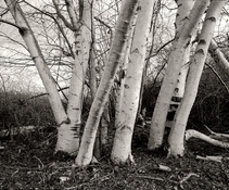 55A-2015-02-16-3.jpg