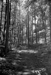 HiddenbrookeTrailNkmt28mm.jpg